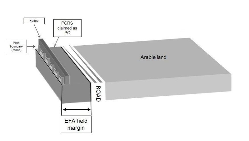 Diagram showing where an EFA can be located