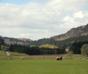 Scottish countryside 