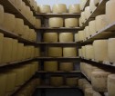 Inside a cheese store with shelves full of wheels of cheese