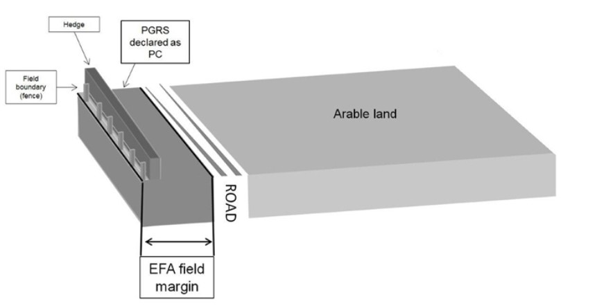 Diagram showing where an EFA can be located Diagram showing where an EFA can be located