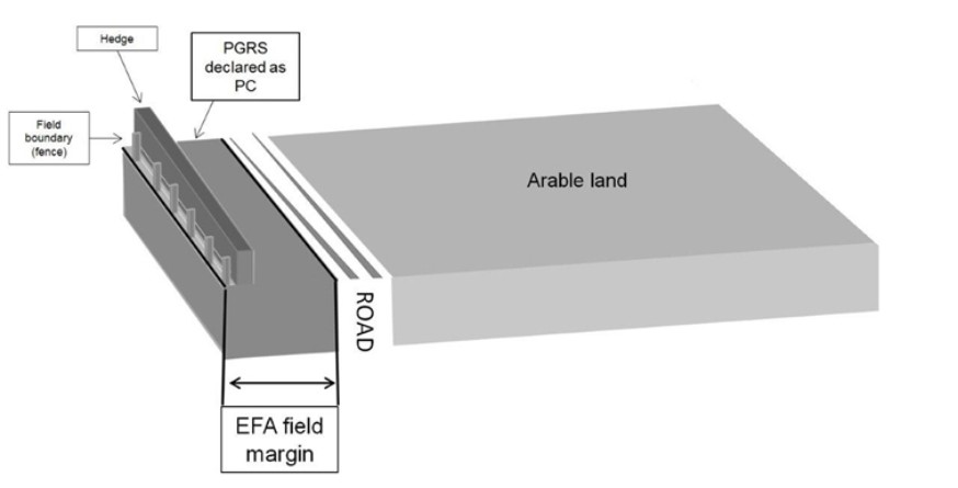 Diagram showing where an EFA can be located