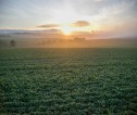 Sunrise over green farmland