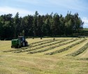 Image shows a blue tractor doing silage on a sunny day.