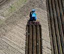 Aerial overhead photograph of a blue tractor planting potatoes in a field.