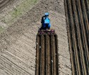 Aerial overhead photograph of a blue tractor planting potatoes in a field.