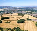 View of multiple fields of sown crops.