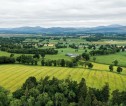 Landscape of grassy fields