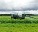 A sprayer, spraying potato plants in Moray