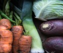 A mixture of vegetables