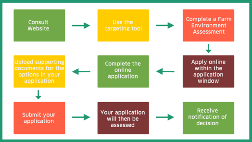 AECS application process flow chart