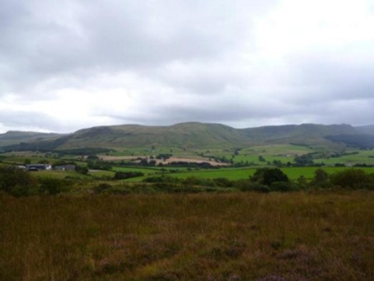 Lowland heath – © NatureScot