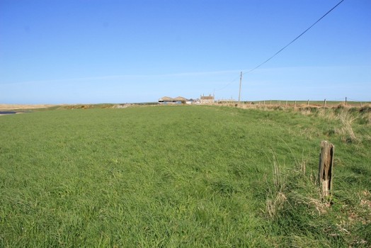 Corn bunting habitat – Credit: Hywel Maggs Corn bunting habitat – Credit: Hywel Maggs