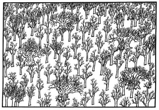 Unchecked natural regeneration infilling ancient wood pasture – © Scottish Natural Heritage Unchecked natural regeneration infilling ancient wood pasture – © Scottish Natural Heritage