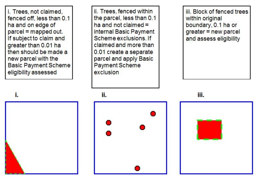 Mapping rules – 12. Trees Mapping rules – 12. Trees