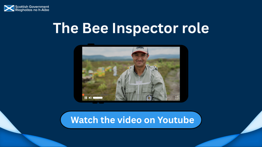 Click on the image to watch a video on youtube about the bee inspector role