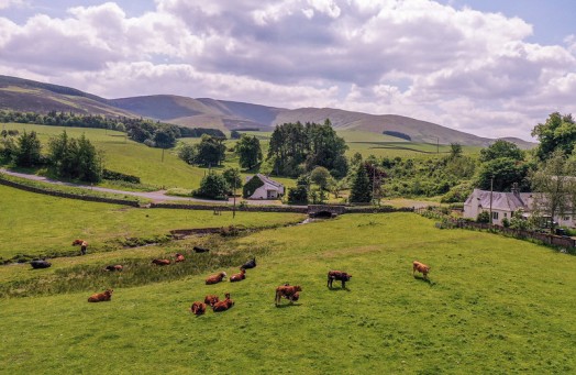 Bird's eye view of farmland