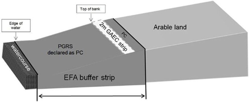 Diagram showing an example of a buffer strip
