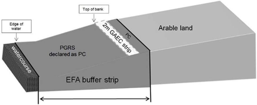 Diagram showing an example of a buffer strip Diagram showing an example of a buffer strip