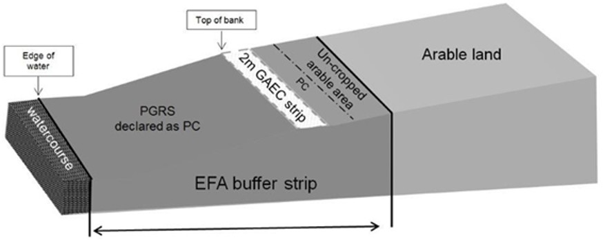 Diagram showing an example of a buffer strip