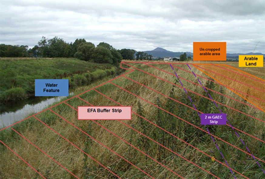 Image showing an example of a buffer Image showing an example of a buffer
