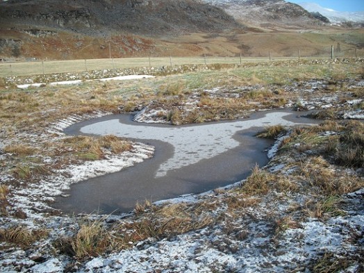 Wader scrape – Credit: RSPB Wader scrape – Credit: RSPB
