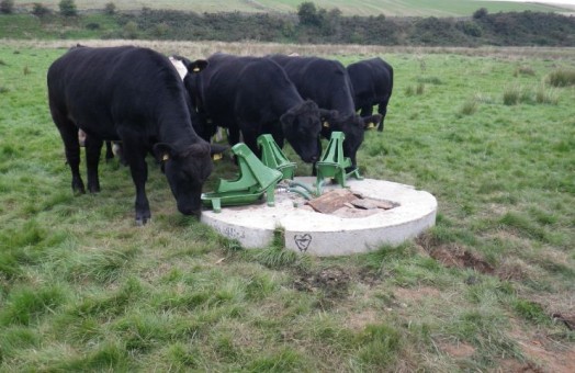 Alternative watering system for cattle Alternative watering system for cattle