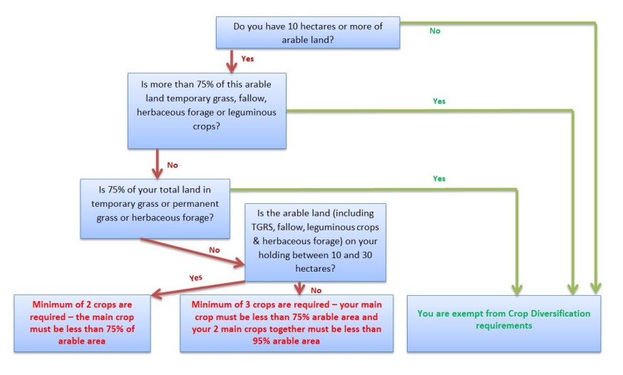 Crop diversification flow chart - do the requirements apply to me?