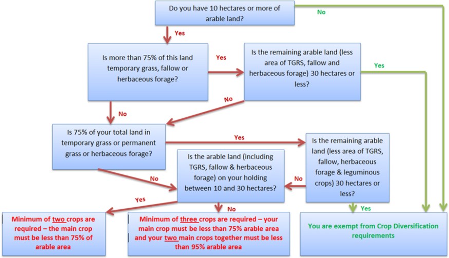 Crop diversification flow chart - do the requirements apply to me?