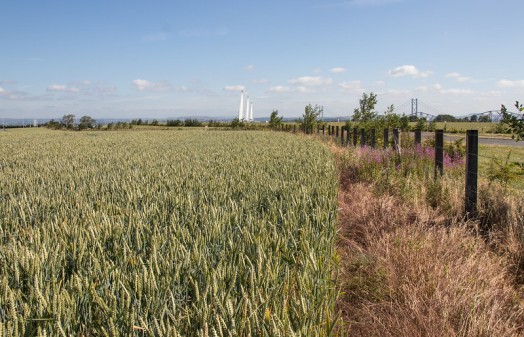 Picture of field Picture of field