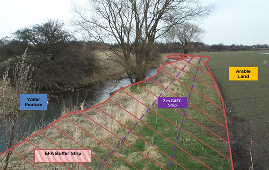 Example image of an EFA buffer Example image of an EFA buffer