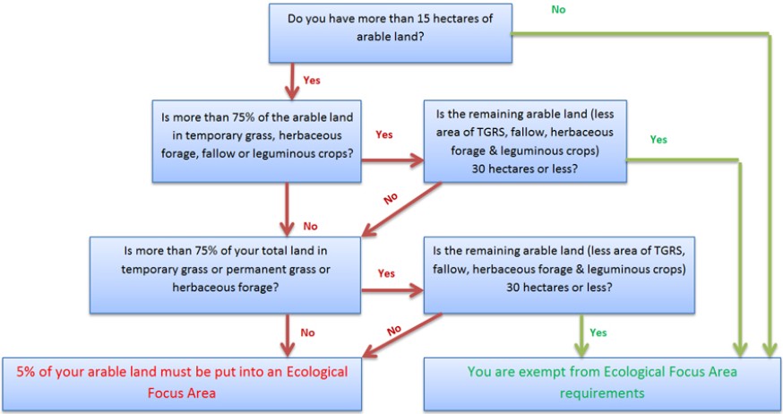 Flowchart identifying if EFA requirements apply to you