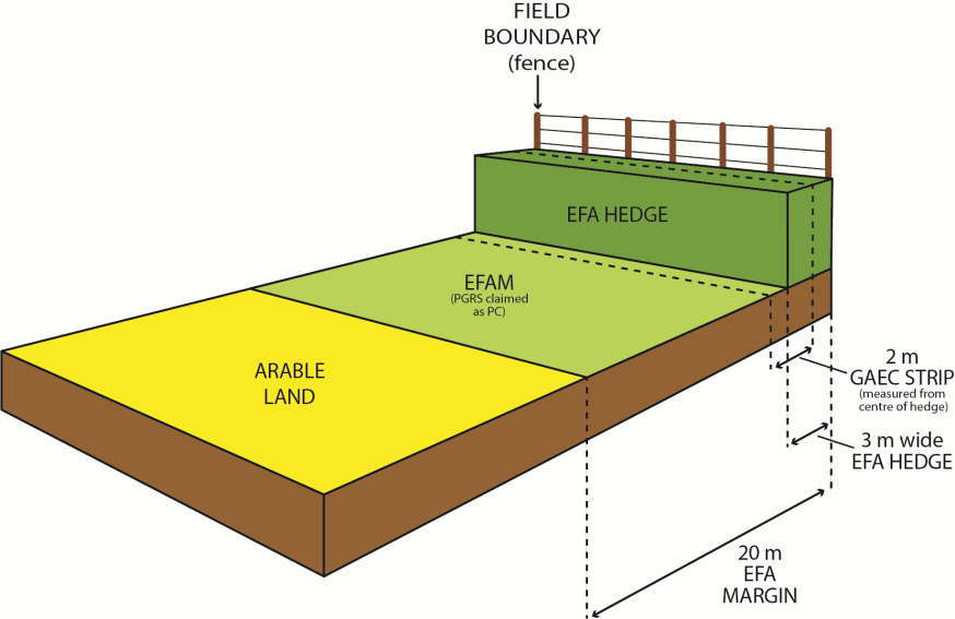 EFA margin diagram example 3