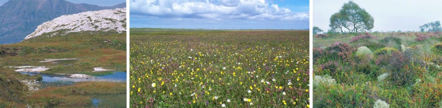 Environmentally sensitive grassland