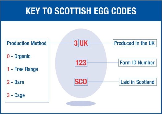 Egg codes