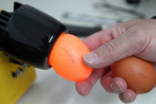 Eggs being checked for faults at a packing centre 