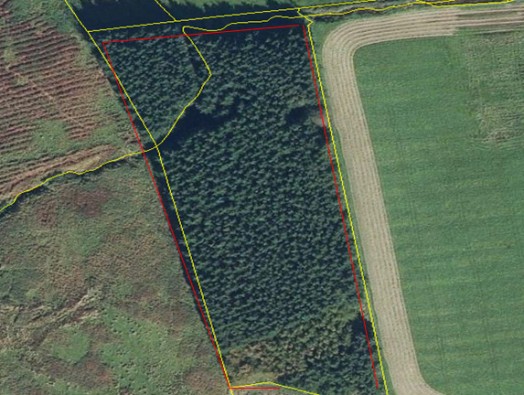 Arial view of a land parcel