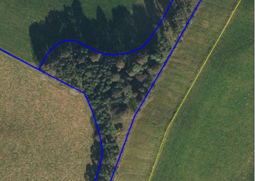 Arial view of a land parcel