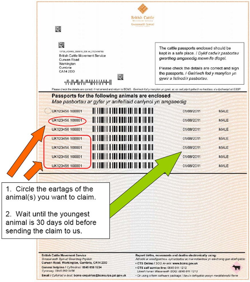 Example of how to complete the cattle passport