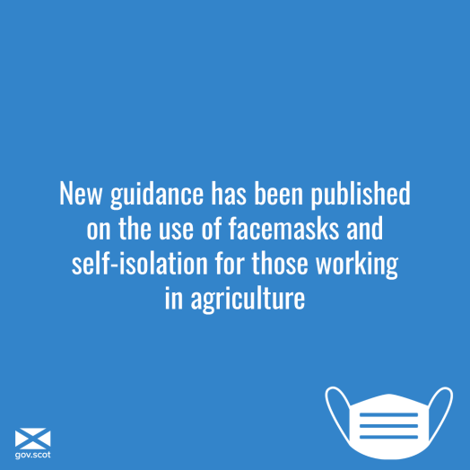 Facemasks infographic Facemasks infographic