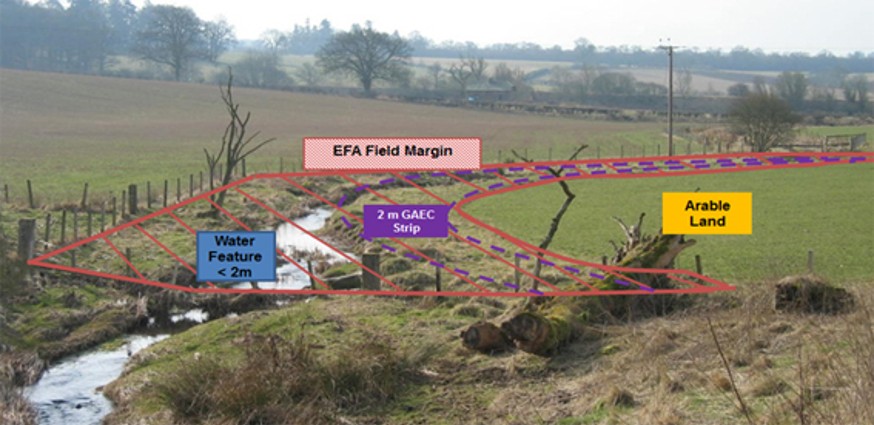 Image showing a field margin example