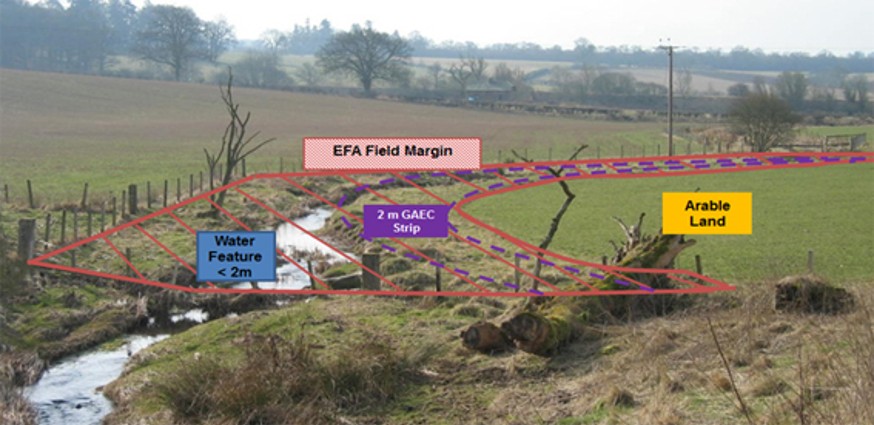 Image showing a field margin example Image showing a field margin example