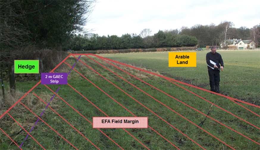 Image showing example of field margin
