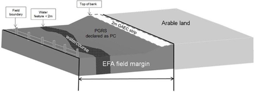 Diagram showing an example of a field margin
