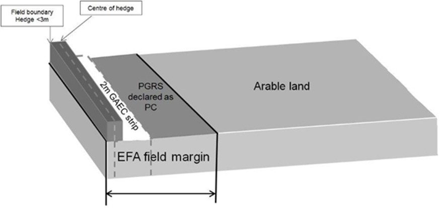 Diagram showing an field margin example