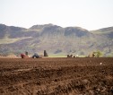 Tractor ploughing a potato field with mountains in the background.