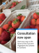 Punnet of Strawberries