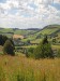 Grass fields