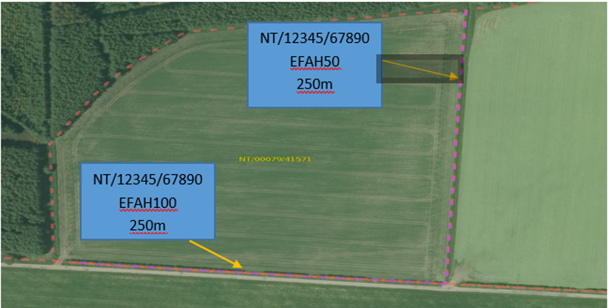 Map viewer showing two linear EFAs as pink lines on a field. Map viewer showing two linear EFAs as pink lines on a field.