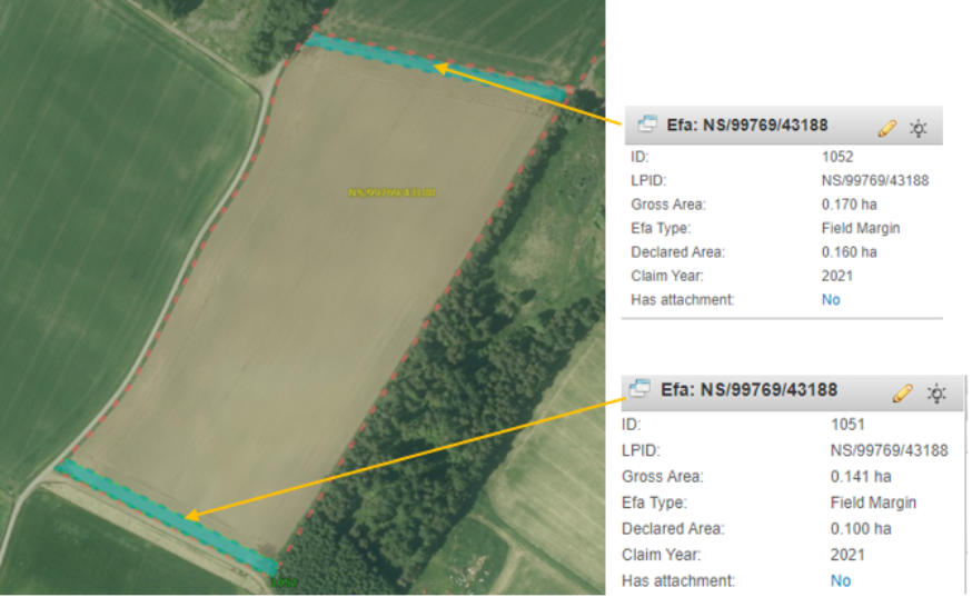 Example from the map viewer showing two blue areas of EFAs on a field.