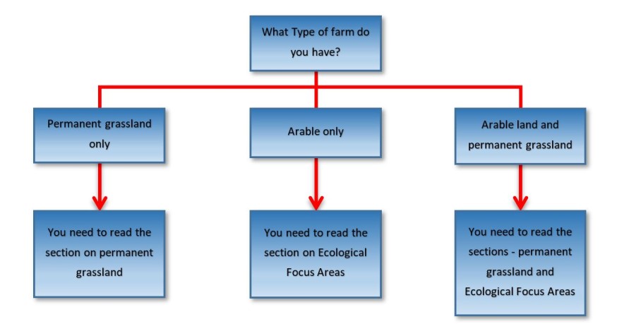 Flow chart detailing what guidance a customer should read